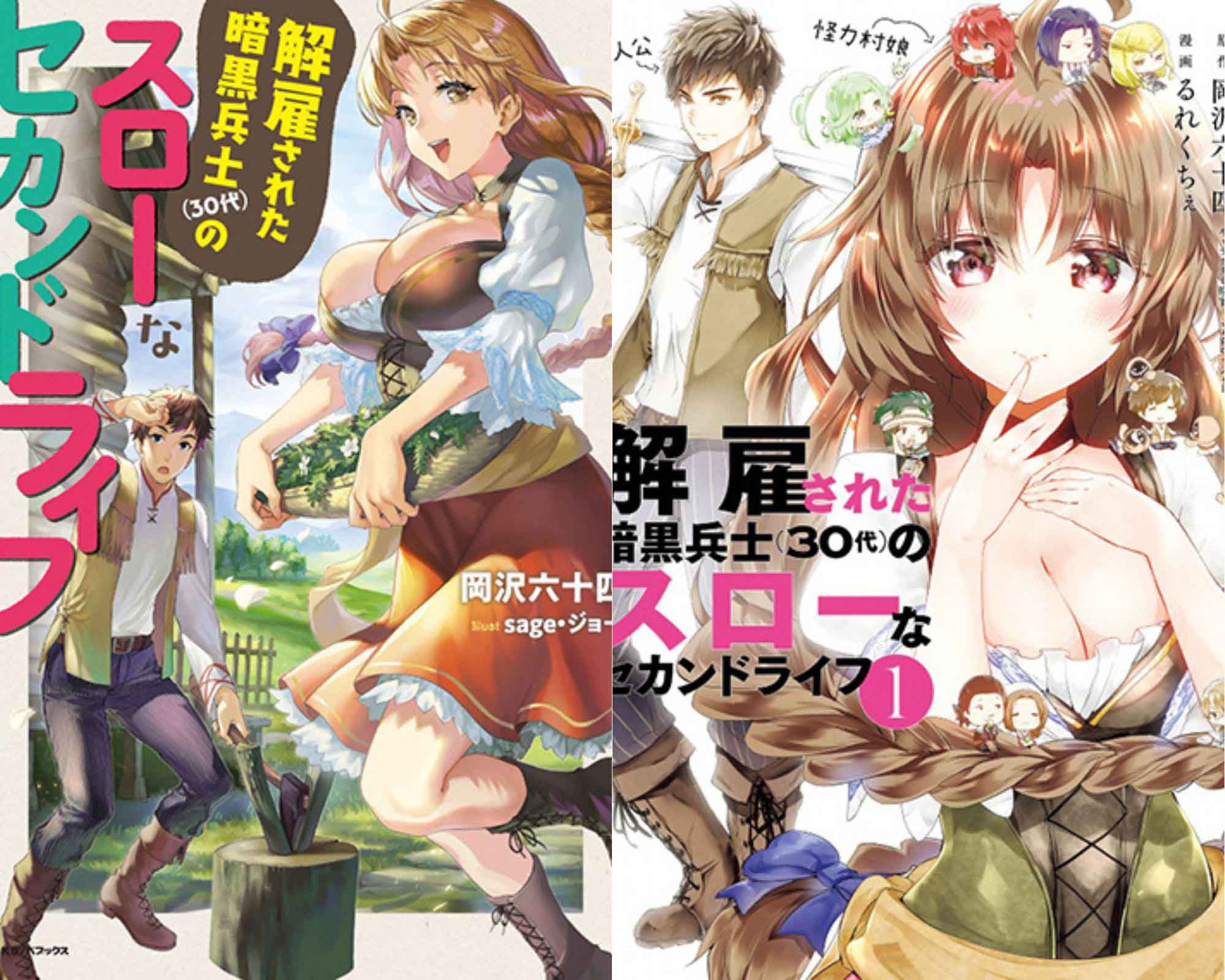Kaiko Sareta Ankoku Heishi (30-Dai) no Slow na Second Life light novel e manga cover
